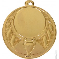 Медаль MMS453/G 45(25) G-2 мм